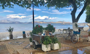 CASA LELA 3...HYDRA
